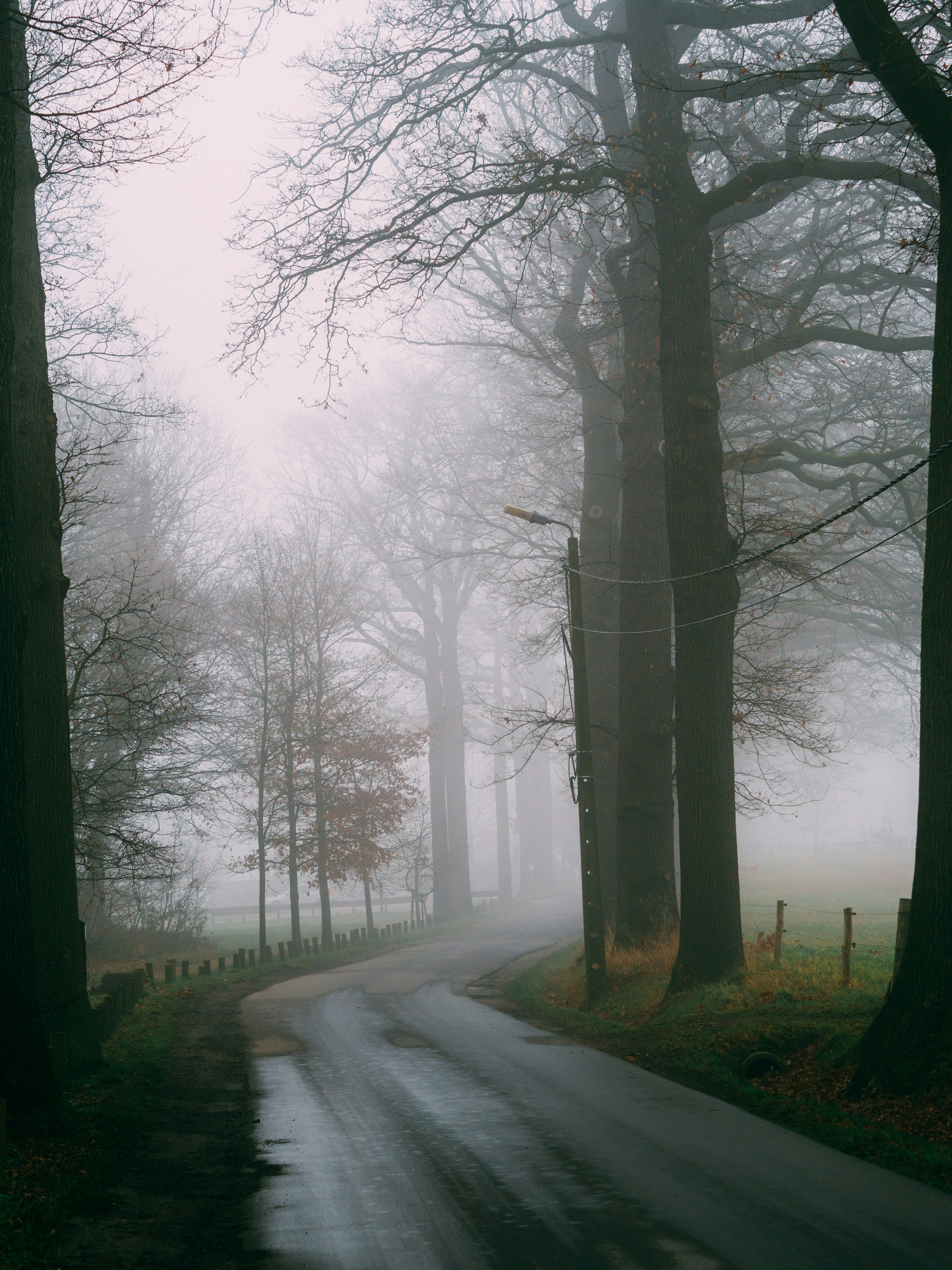 Photo by brechtdenil