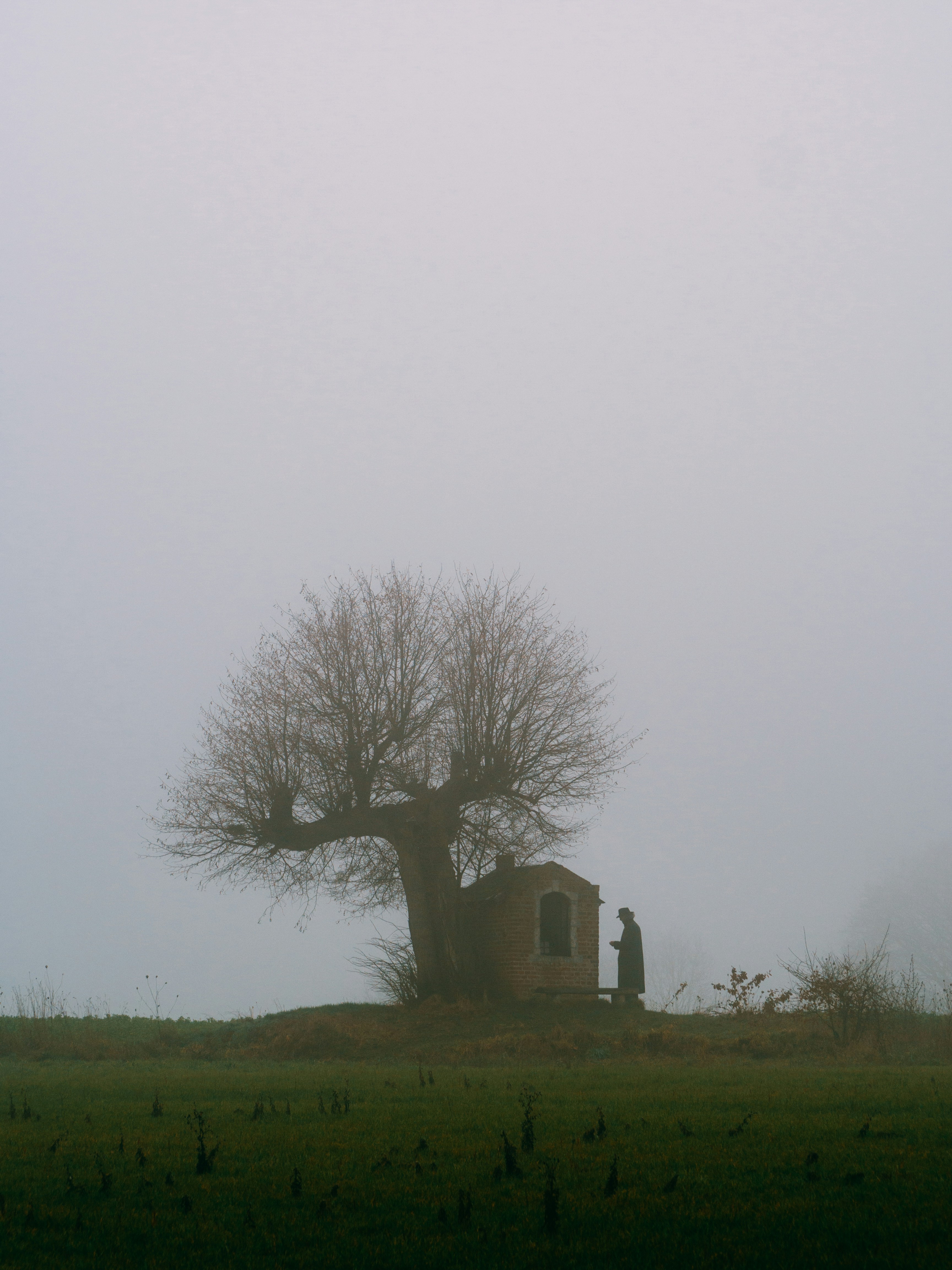 Photo by brechtdenil