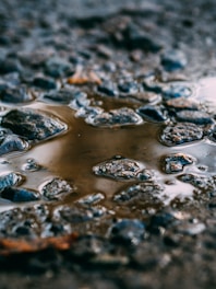 a close up of a puddle of water on the ground