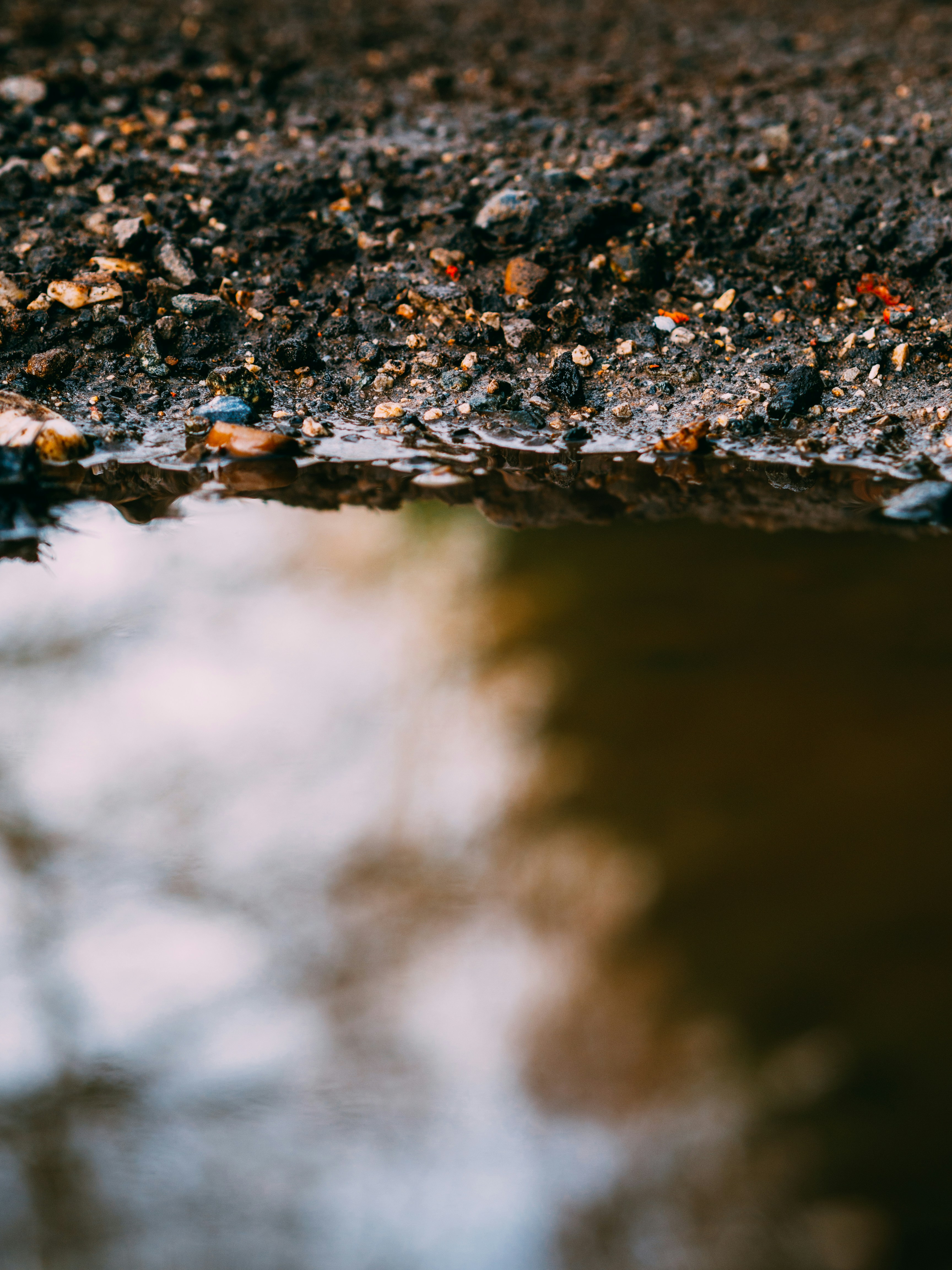 Photo by brechtdenil