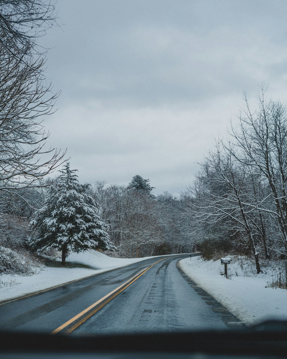 昼間は道路付近の雪に覆われた野原や木々