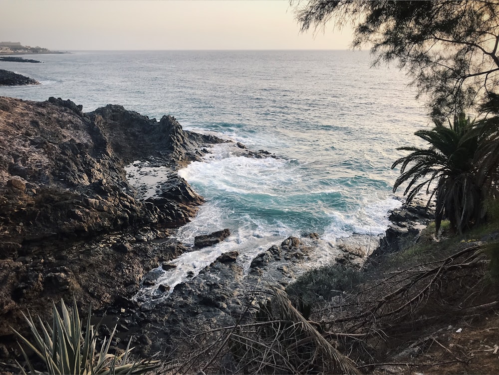 seawaves crashing on shore during daytime