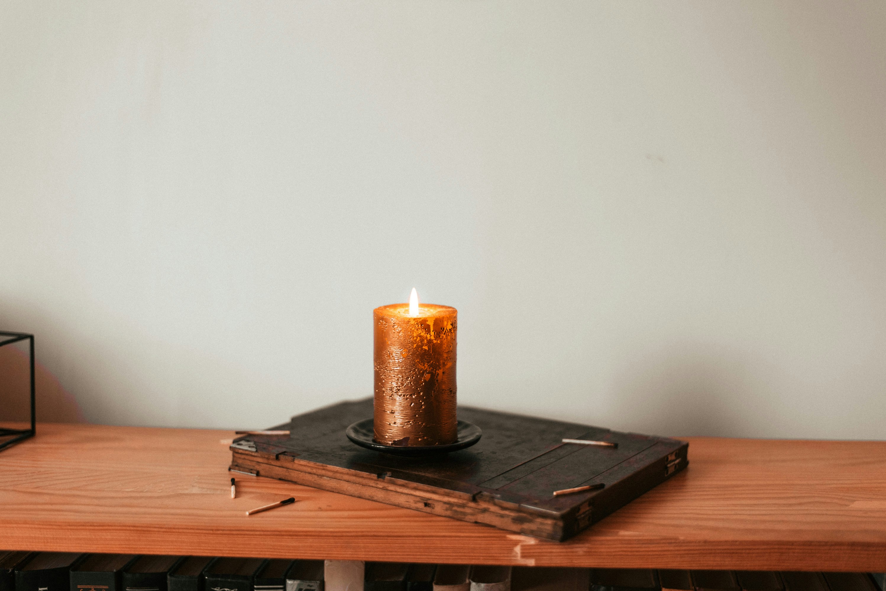 Photo by shadrinaphotography