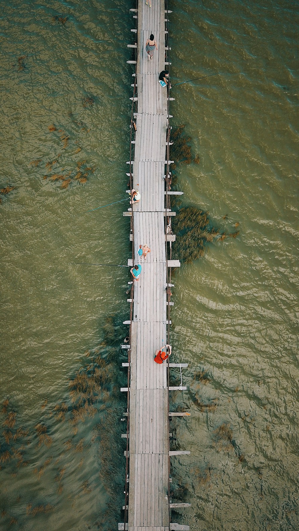 aerial photography of people on dock