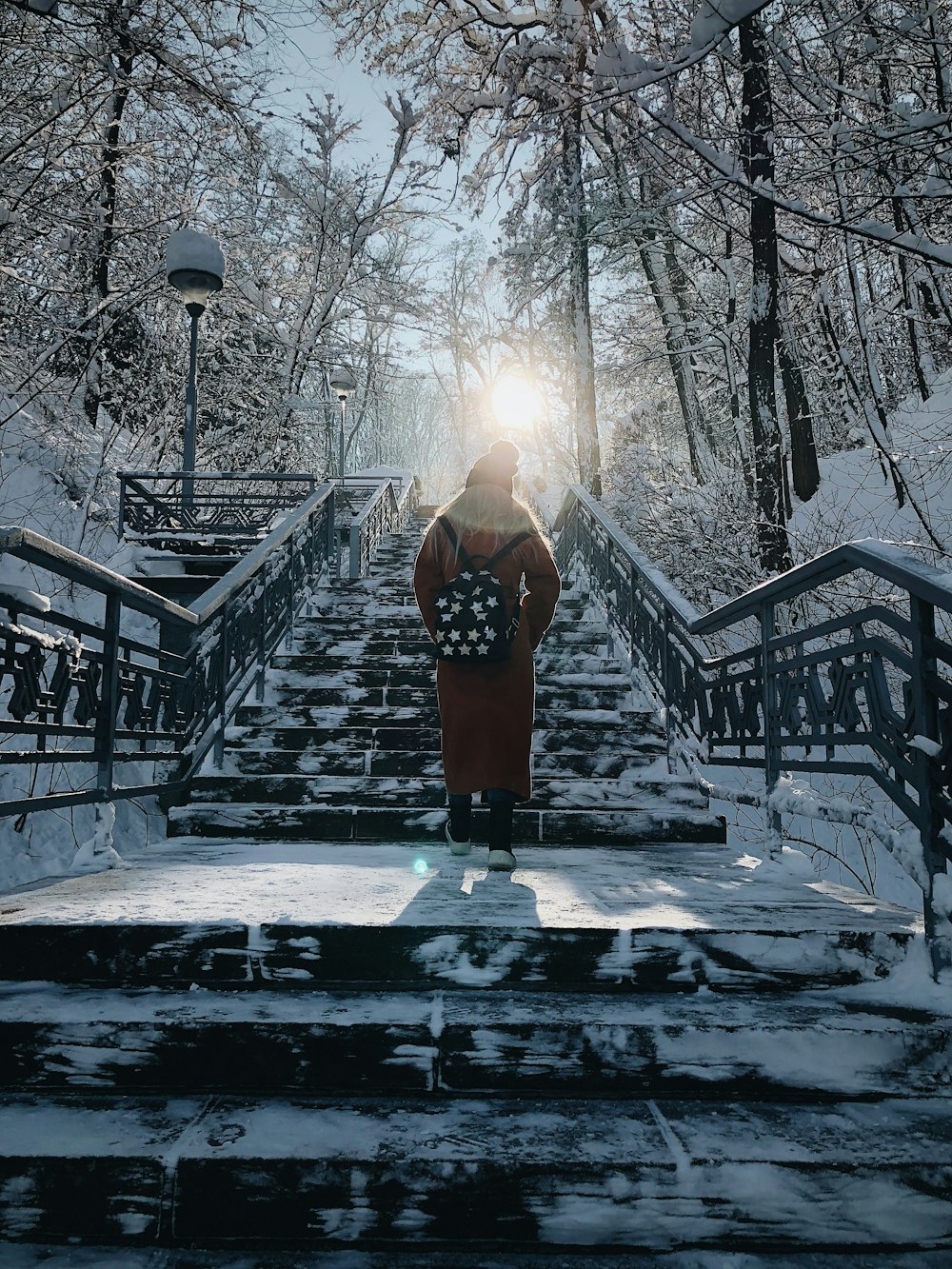 person standing on stairs on snow