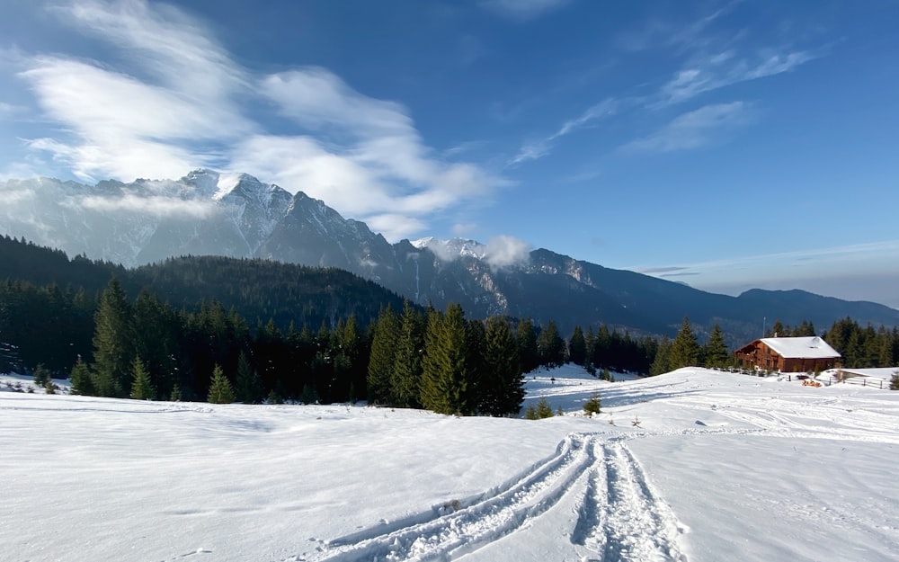 brown house on snowfield near trees during day