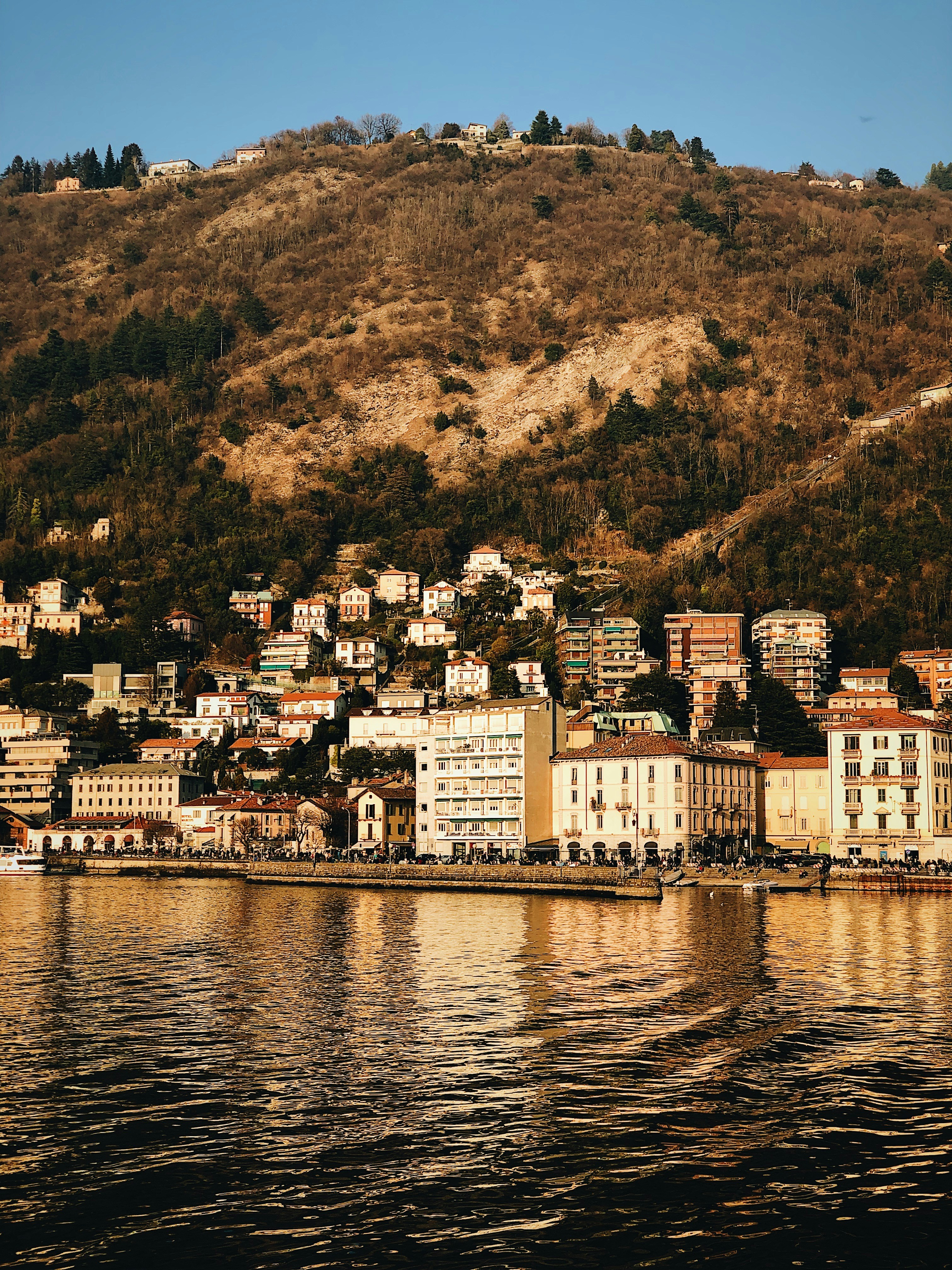 Photo by zamedyanskiy