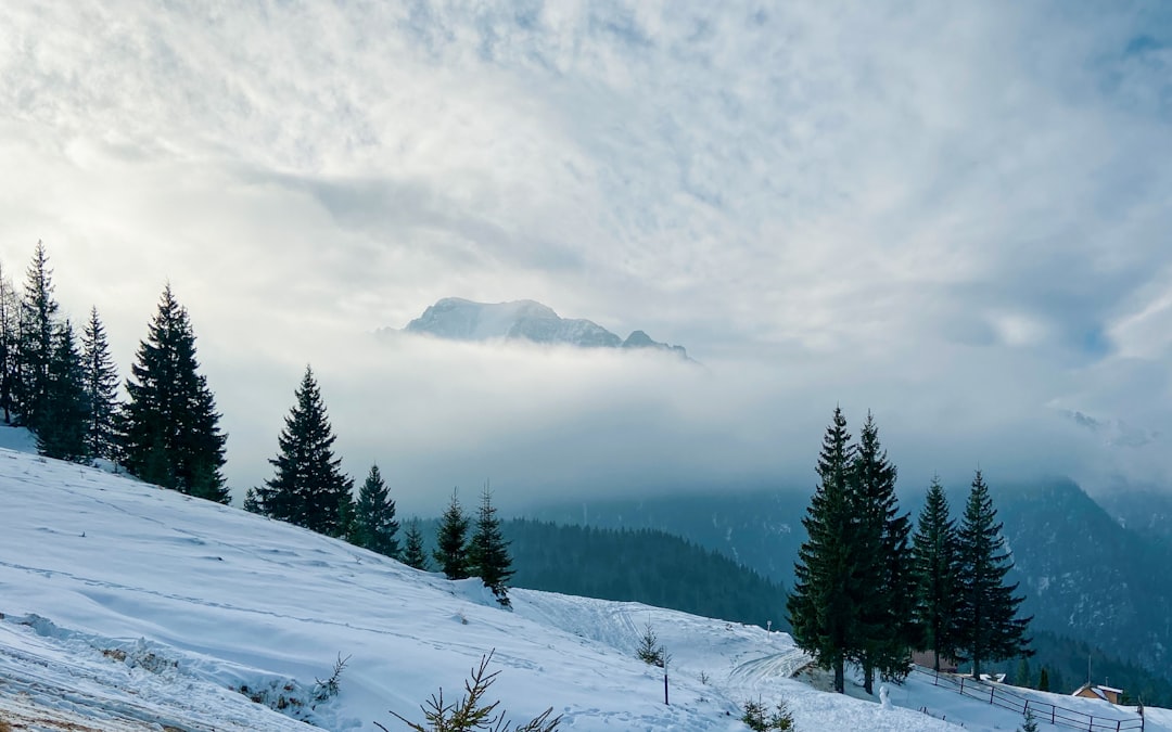 Hill station photo spot Cabana Diham Moieciu de Sus