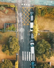 An aerial view of a road lined with parked cars on one side. The road has a marked pedestrian crossing and a '20' speed limit painted on the surface. To the left, there are gardening plots and pathways. Lush greenery, including trees and bushes, surrounds the scene.