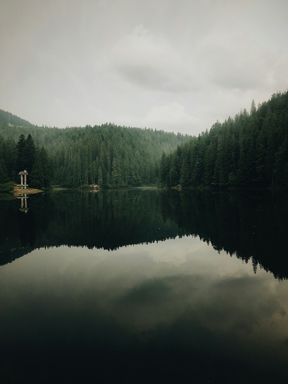 calm body of water surrounded with trees under white skies