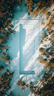 Aerial view of a rectangular swimming pool in a snowy landscape surrounded by pine trees. The trees cast long shadows, and snow blankets the ground. The pool is partially covered with snow, suggesting it is unused during winter.