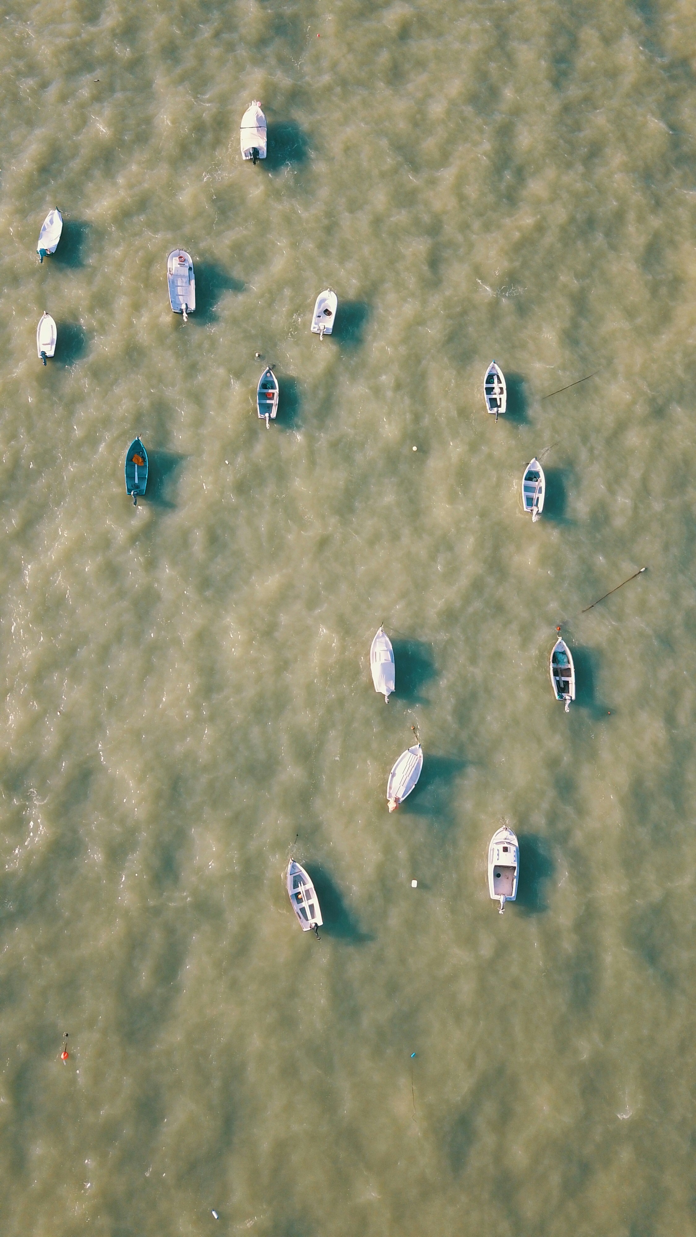 Photo by zamedyanskiy