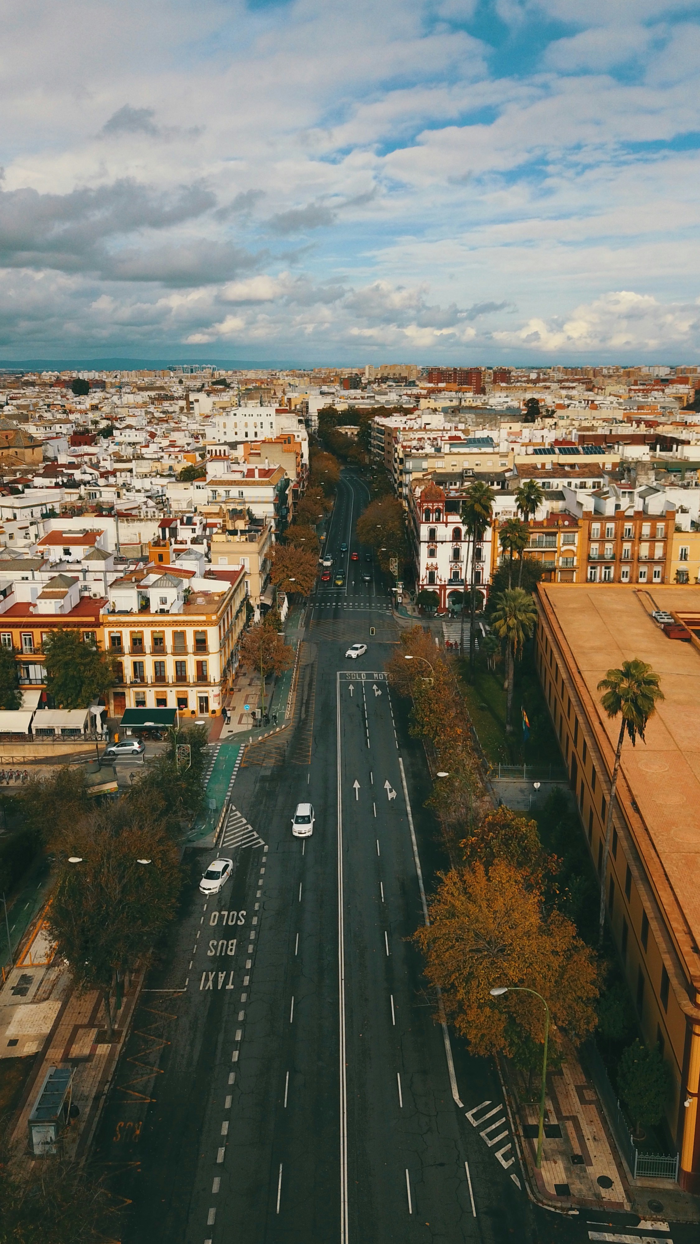 Photo by zamedyanskiy