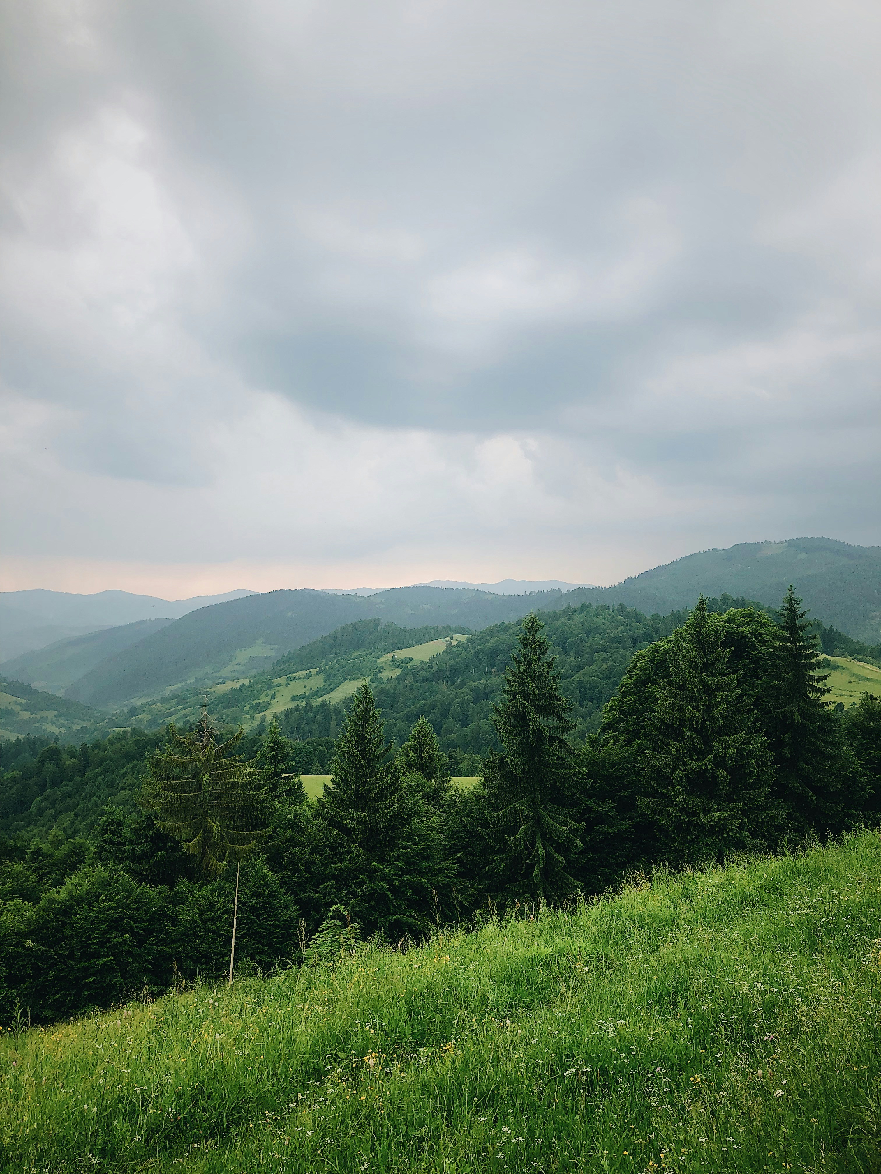 Photo by zamedyanskiy