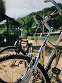 Bicycles parked beside a sandy path lined with soft green reeds.