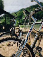 Two bicycles are parked on a sandy path beside a lush, green backdrop. The focus is on the front bicycle, featuring a shiny silver frame and distinctively marked wheels. The background is slightly blurred, highlighting the vibrant greenery and outdoor setting.