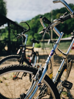 Two bicycles are parked on a sandy path beside a lush, green backdrop. The focus is on the front bicycle, featuring a shiny silver frame and distinctively marked wheels. The background is slightly blurred, highlighting the vibrant greenery and outdoor setting.