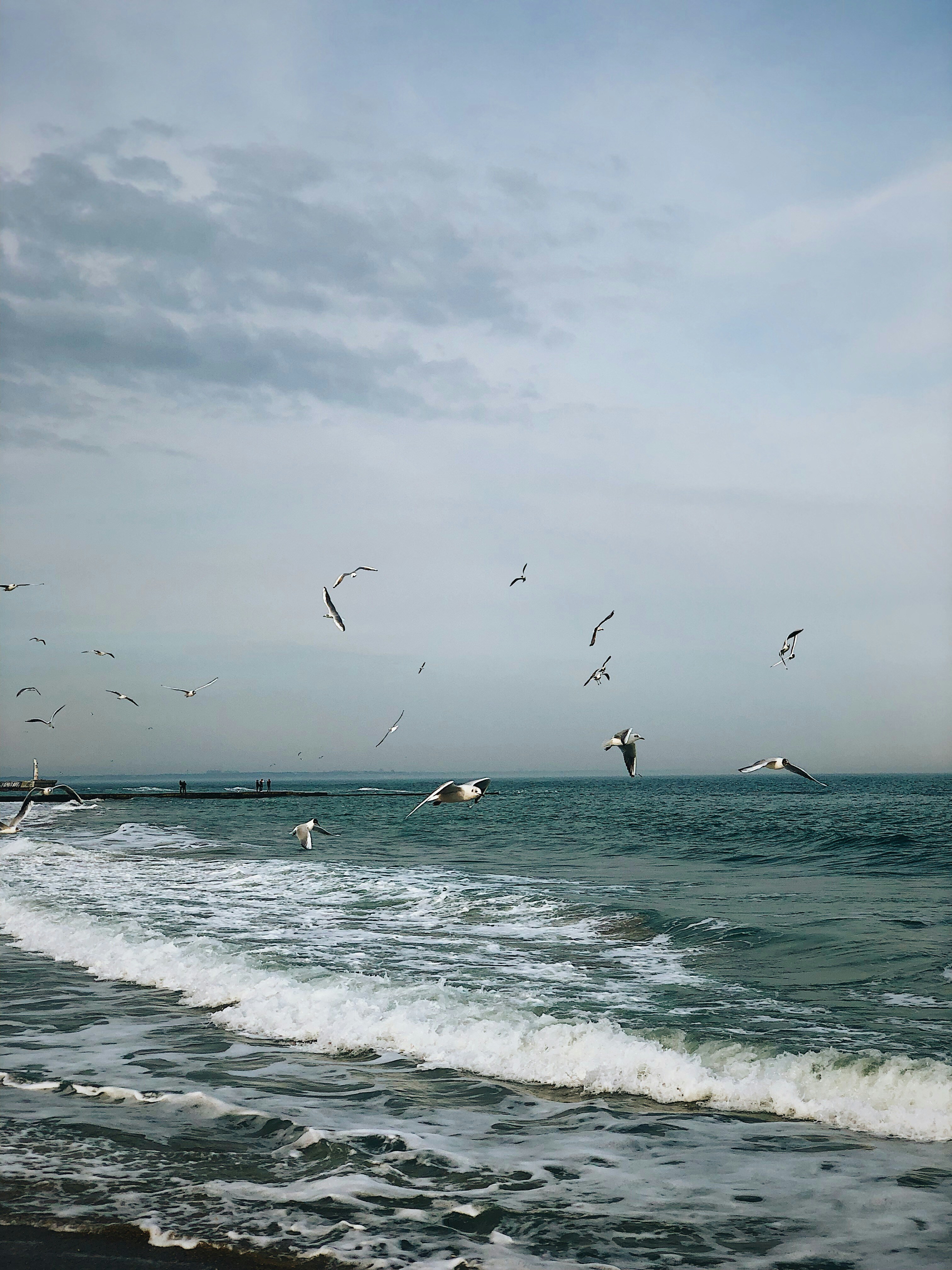 Photo by zamedyanskiy