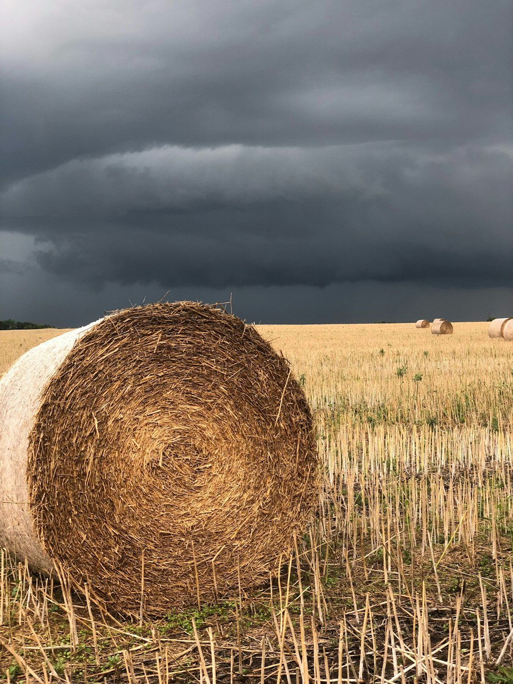 hay bale