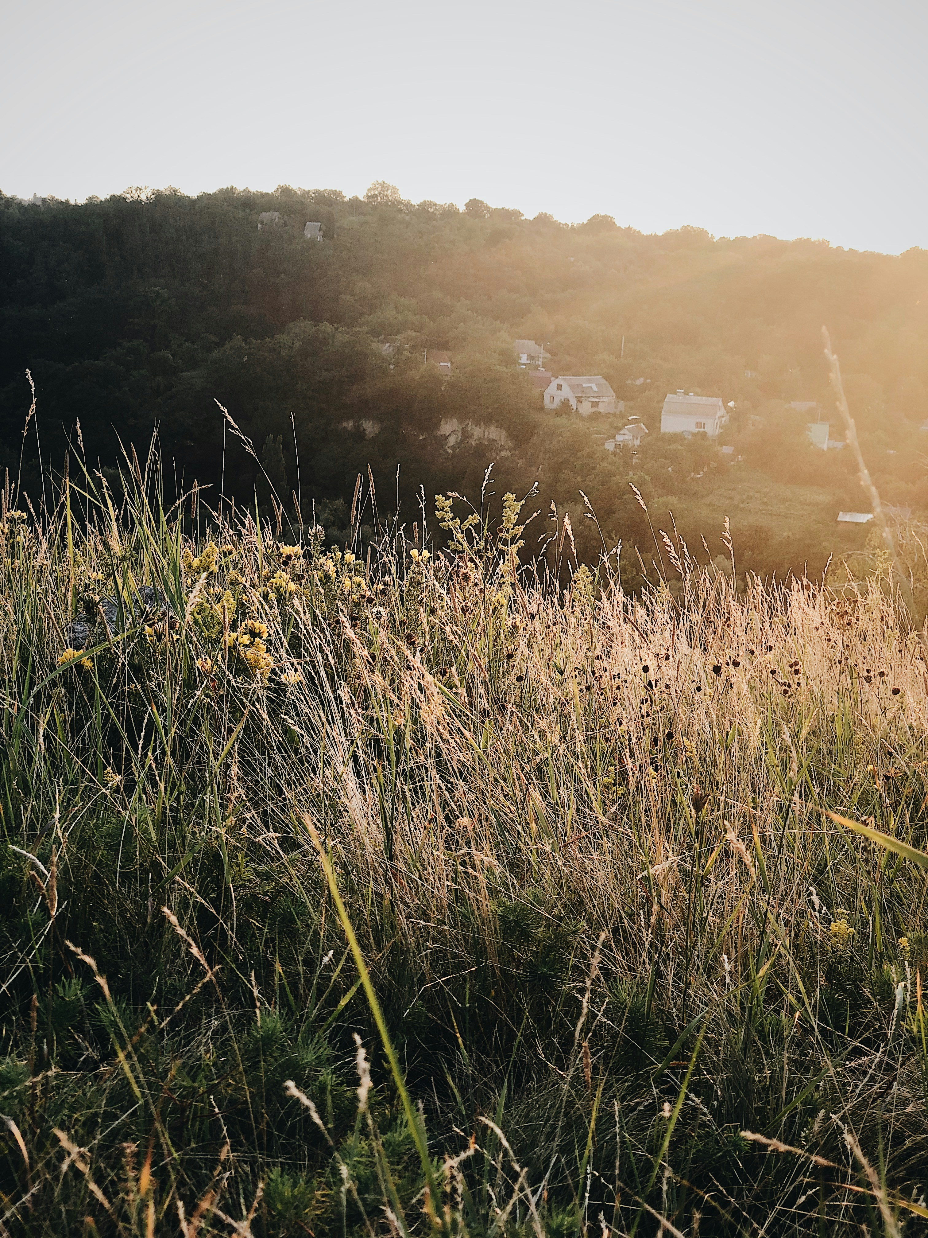 Photo by zamedyanskiy