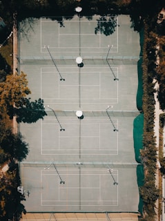 Exterior view of the four outdoor pickleball courts surrounded by greenery.