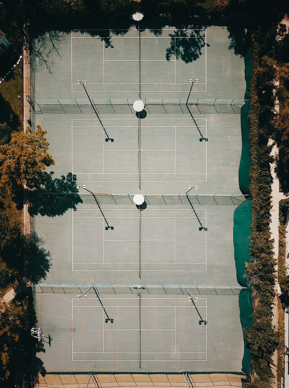 aerial photography of game field surrounded with orange trees