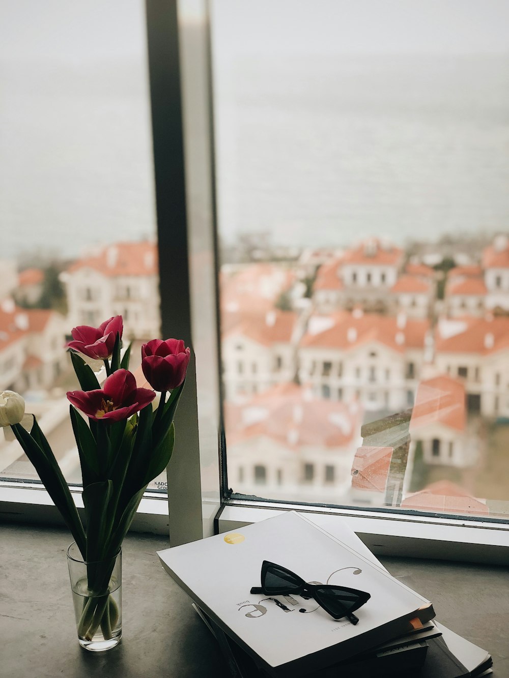 fiore di tulipano rosso vicino alla finestra di vetro