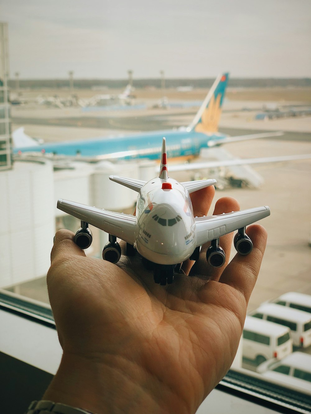 person holding air liner plane toy