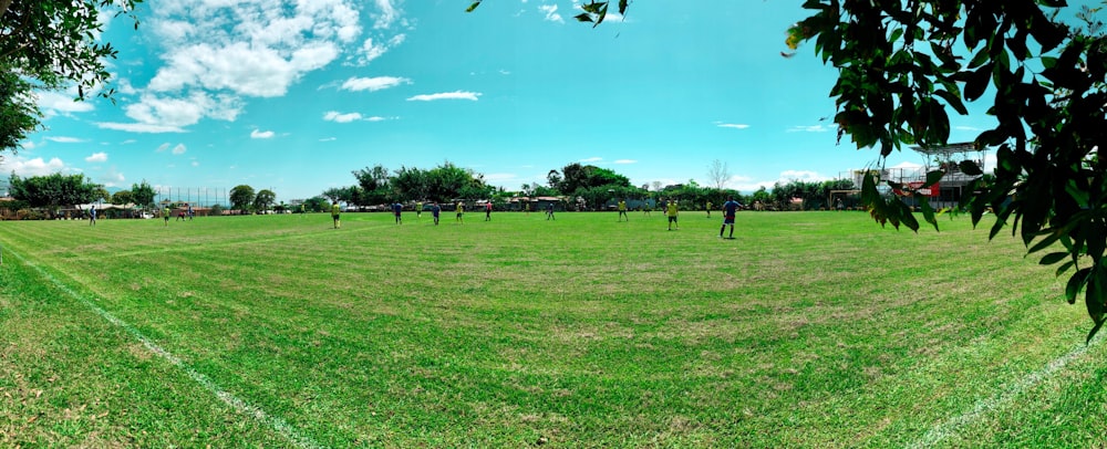 panoramic photography of green grass fields