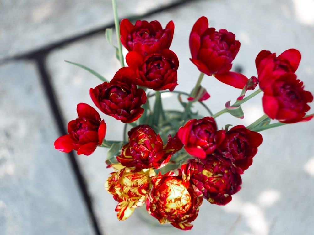 red flower arrangement
