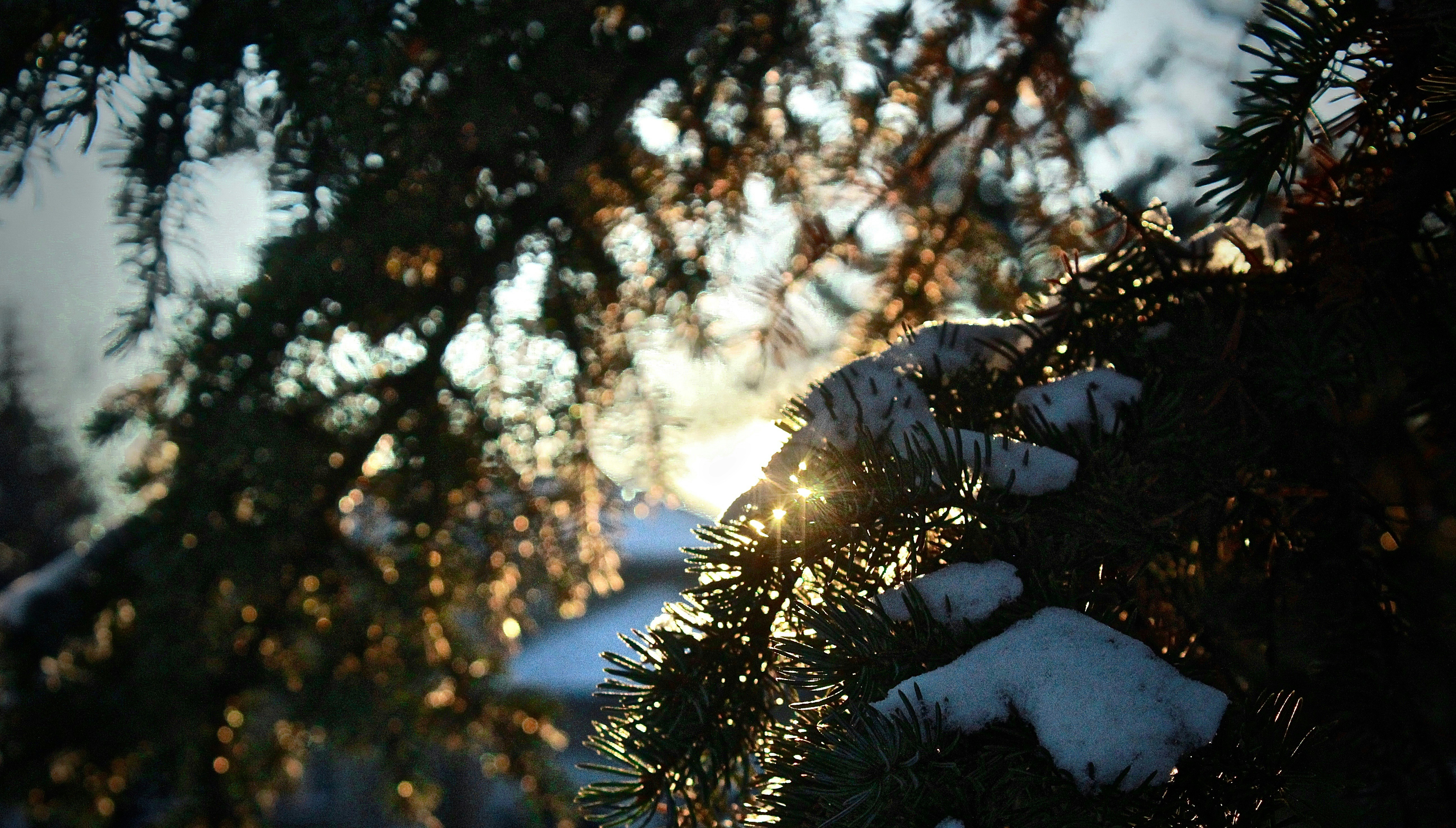 Photo by maddie_ingram