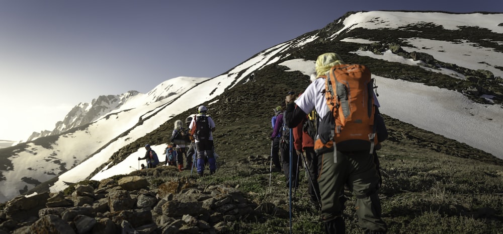 group of people walking on hill