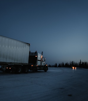 white and black freight truck traveling on road