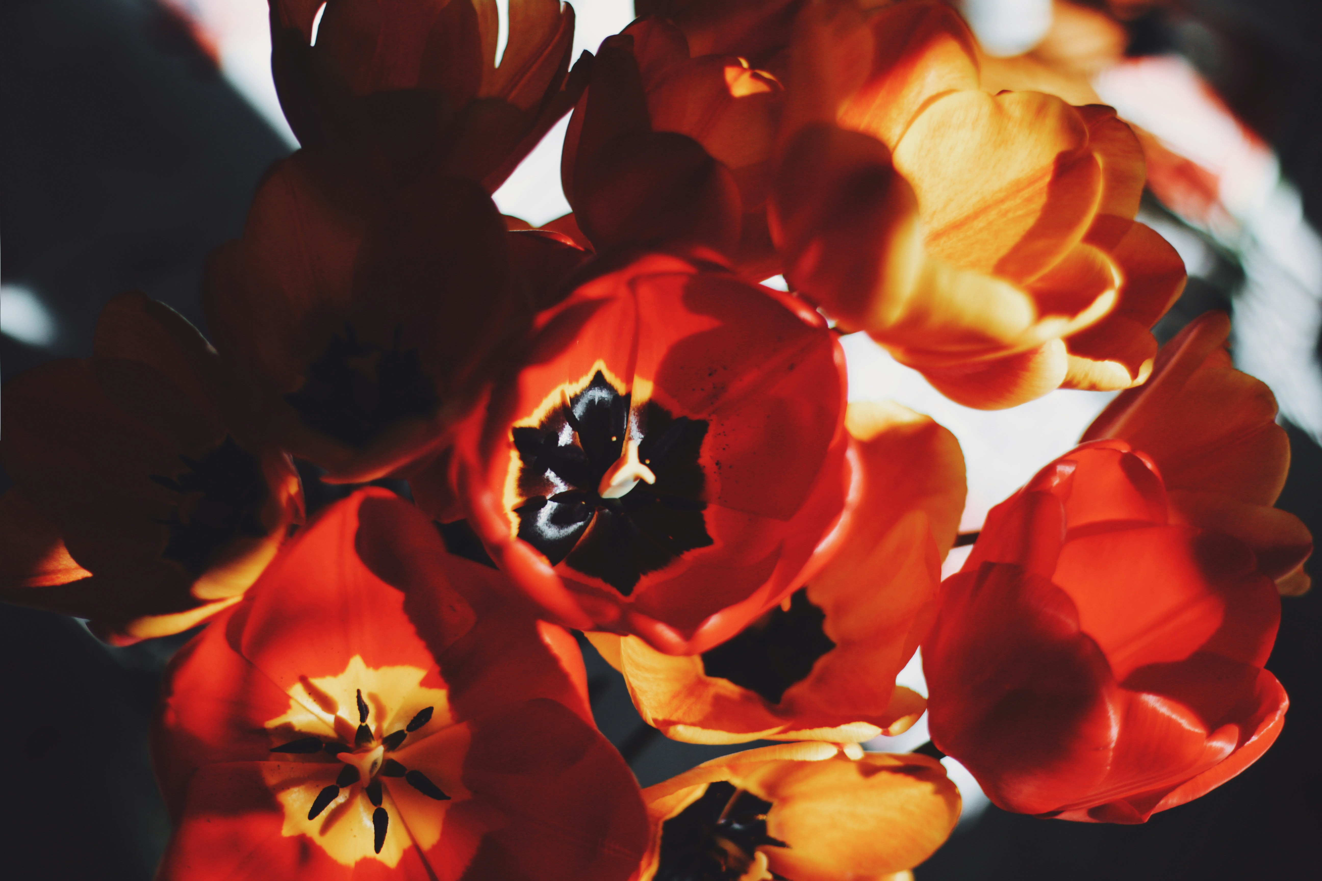 Photo by valeriabold