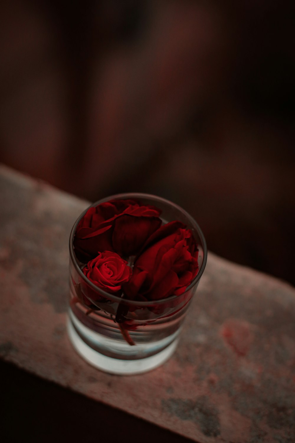 shallow focus photo of red flowers in clear glass cup