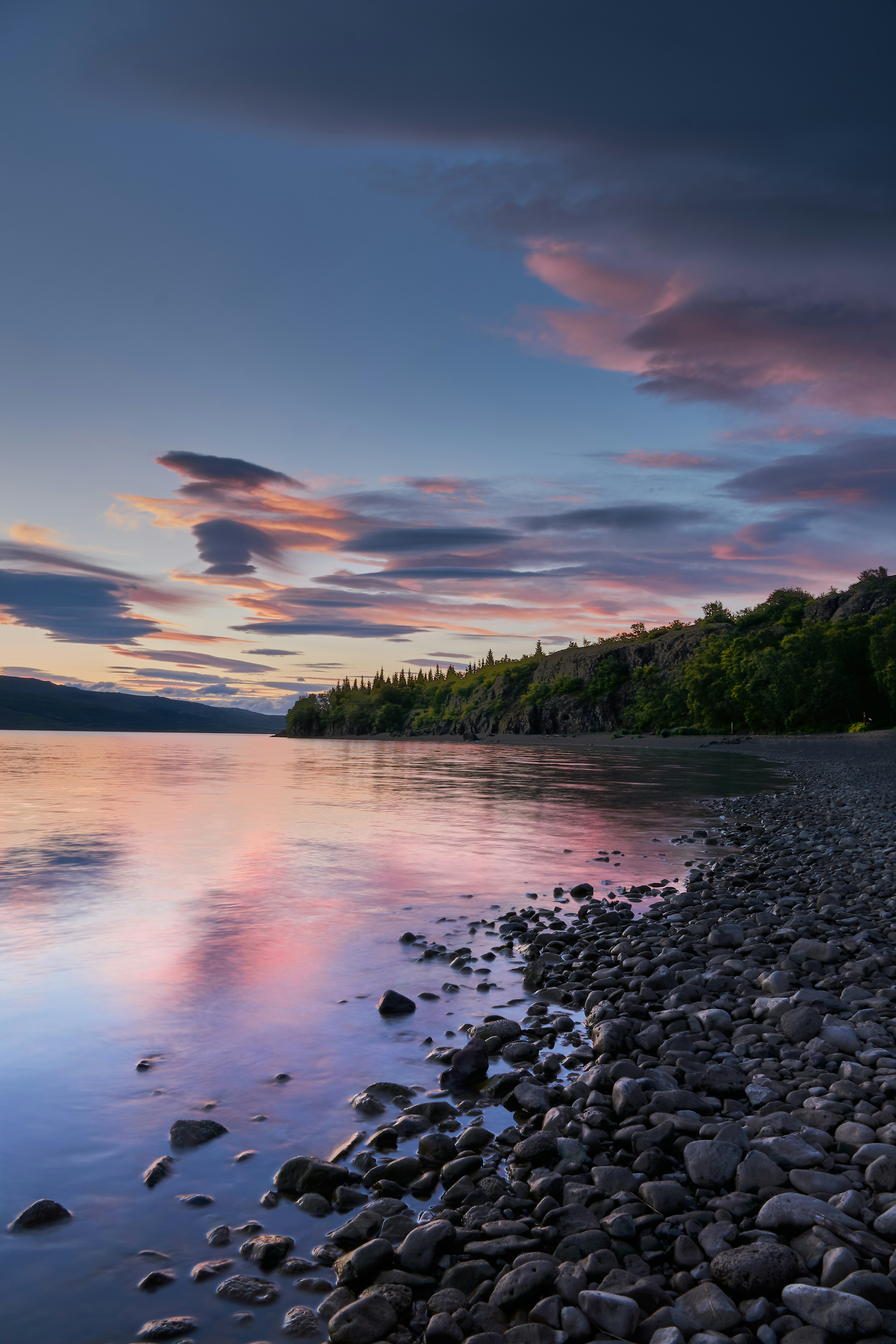海岸線の木々の写真 – Unsplashの旅行の無料画像