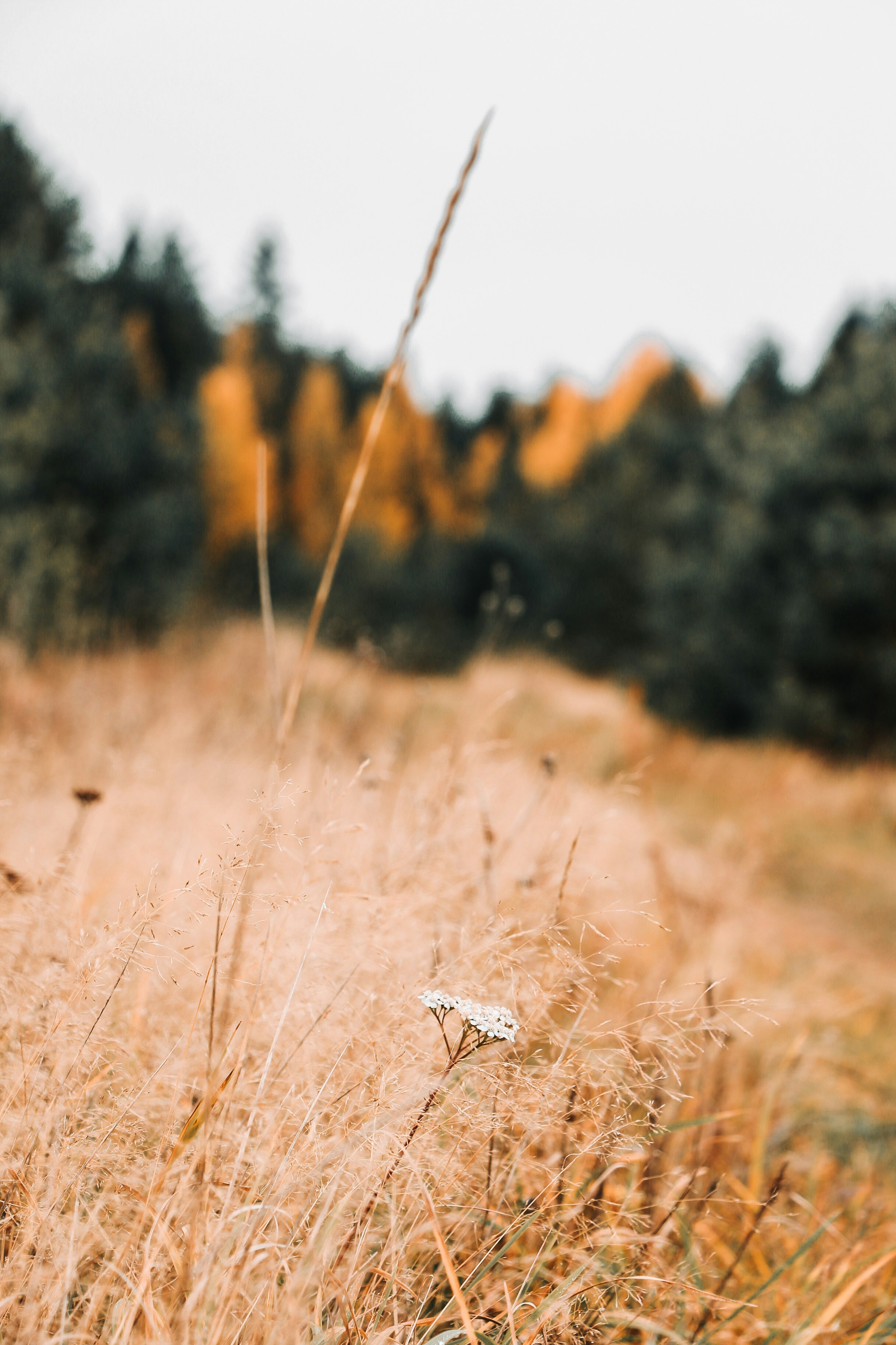 Photo by thatgirlalina