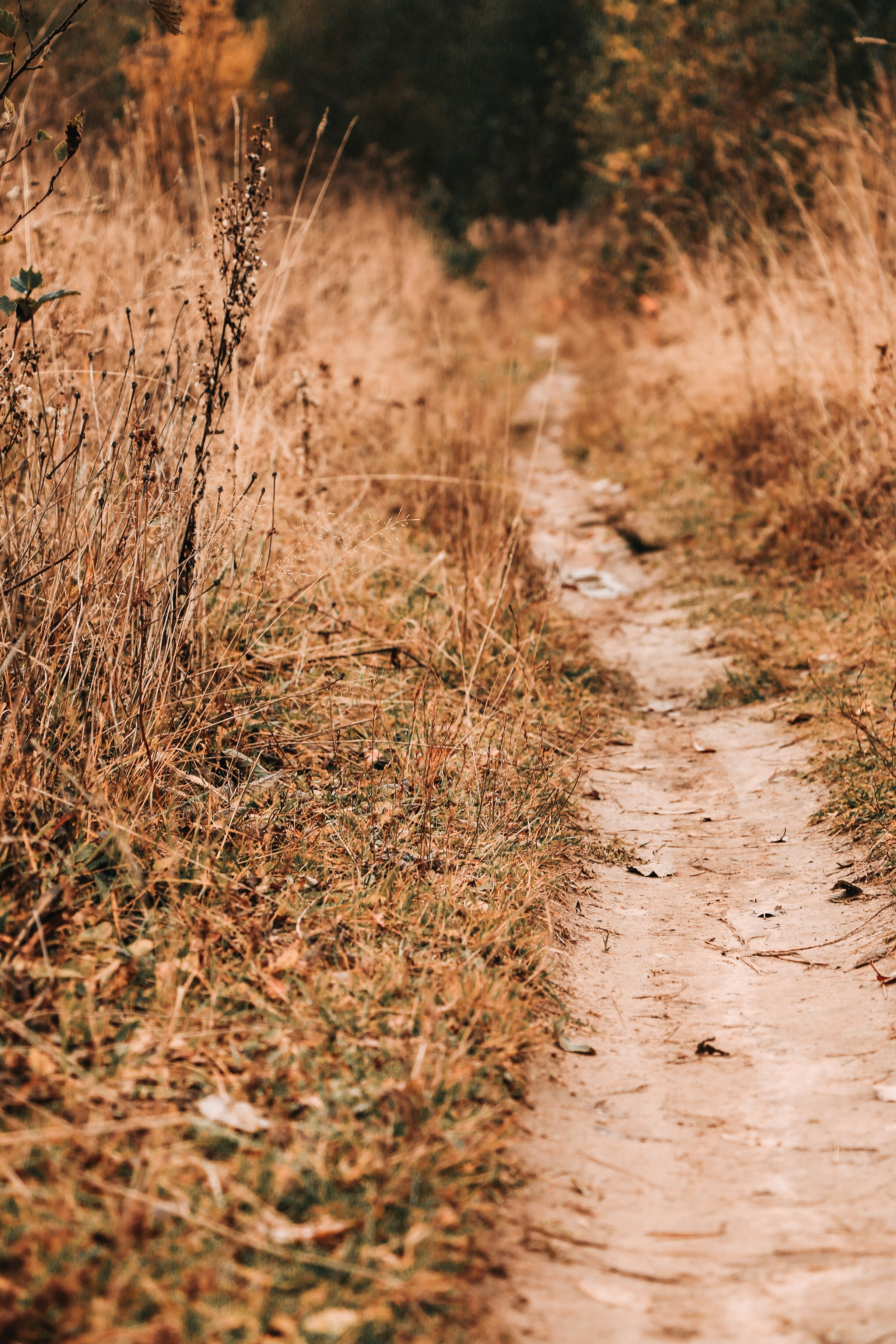 Photo by thatgirlalina