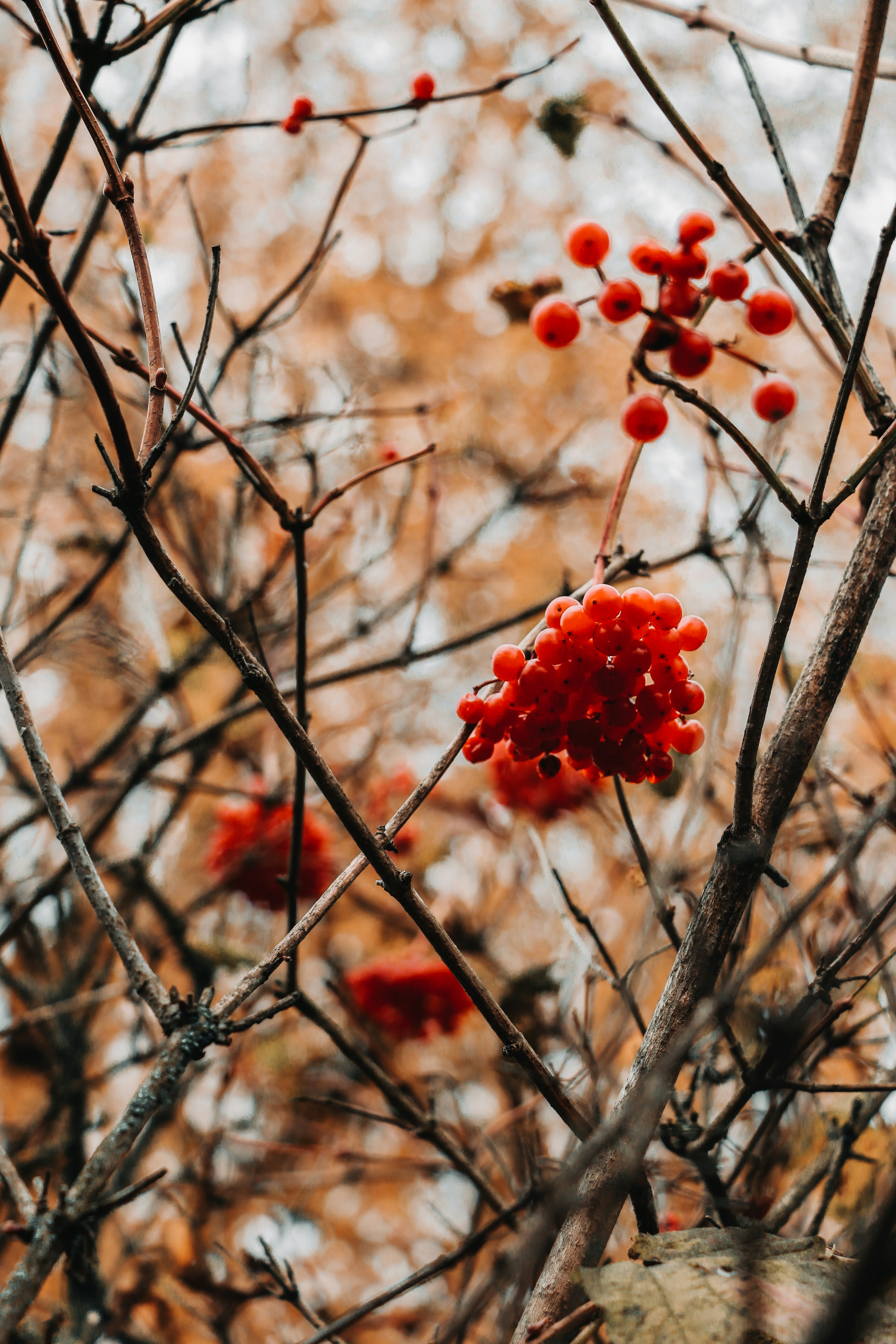 Photo by thatgirlalina