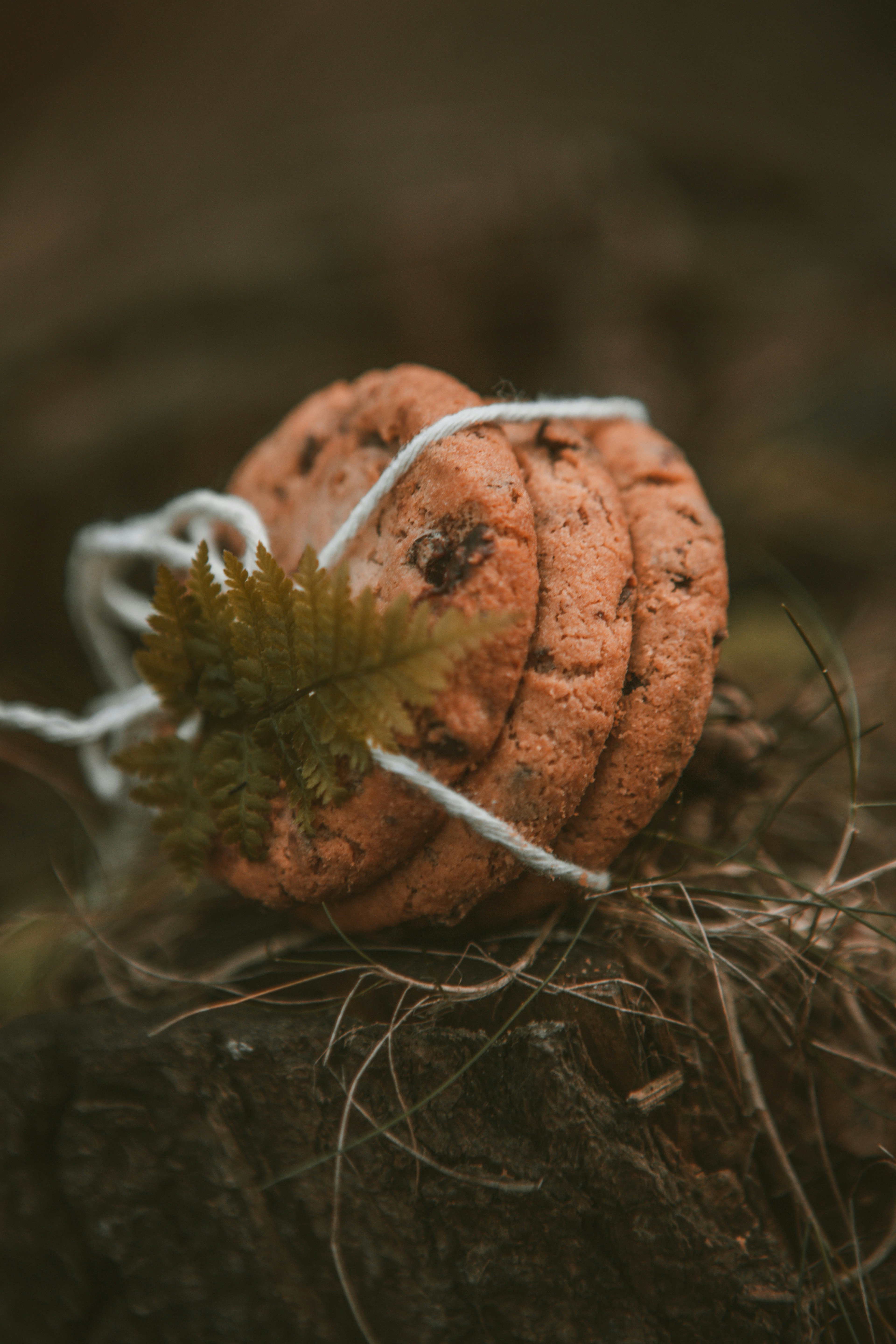 eco-friendly cookies