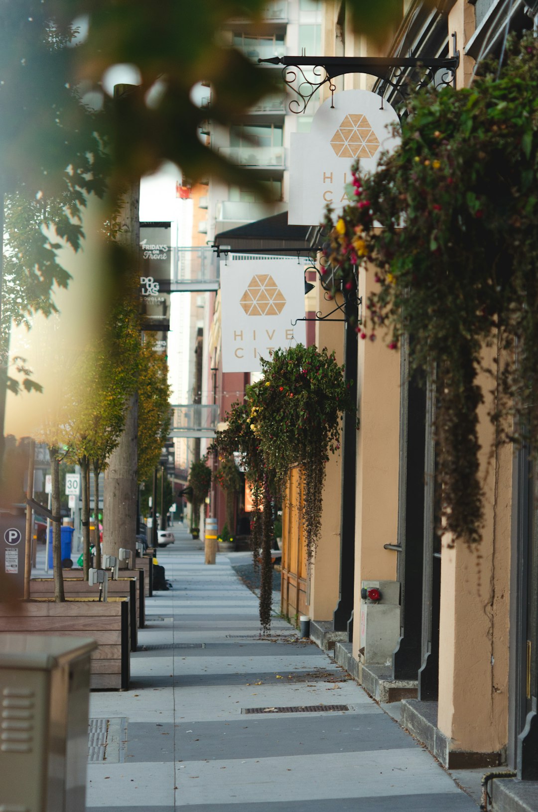 Town photo spot New Westminster Fan Tan Alley