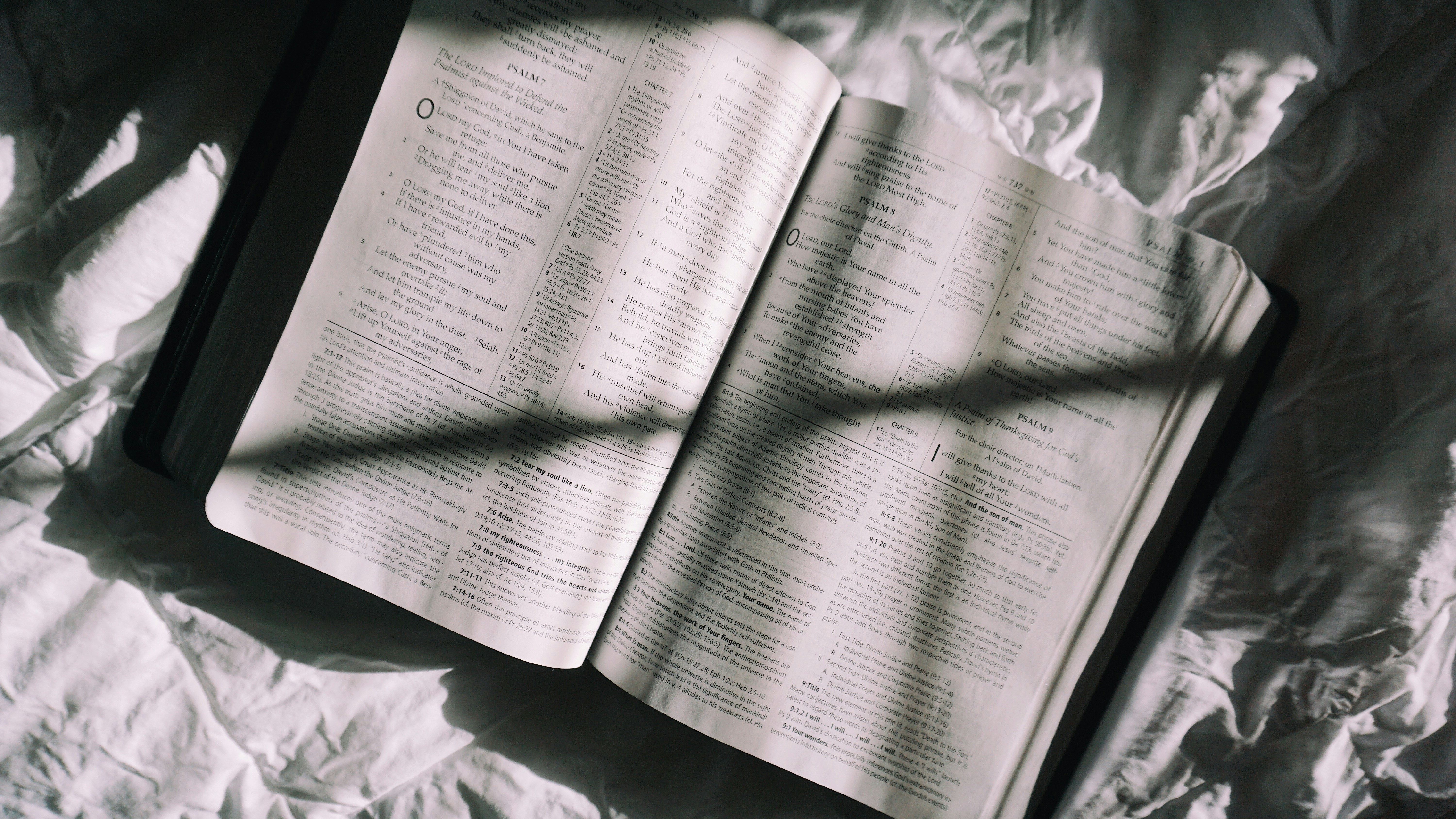 Photo by t_rampersad