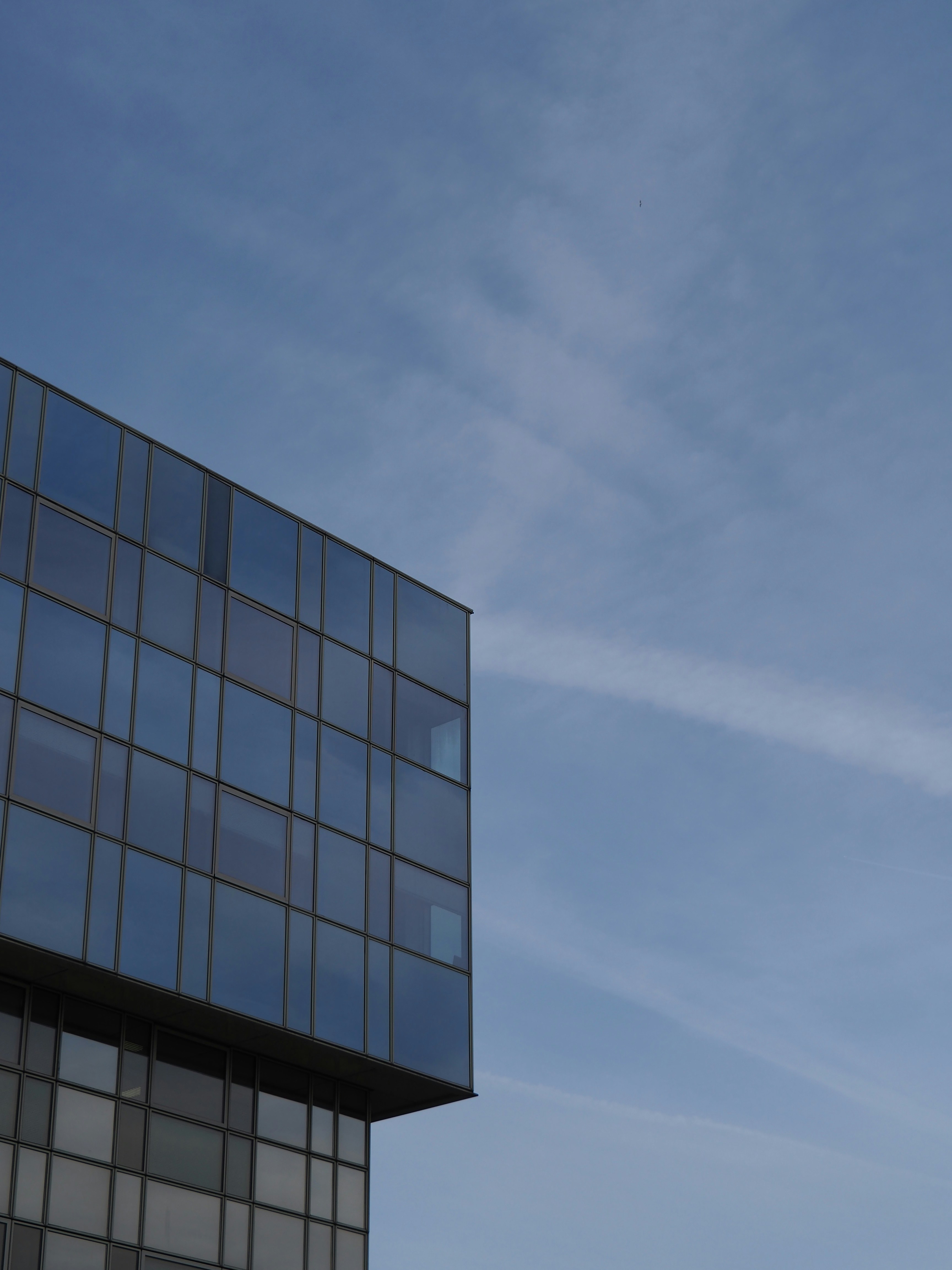 Photo by nimbus_vulpis