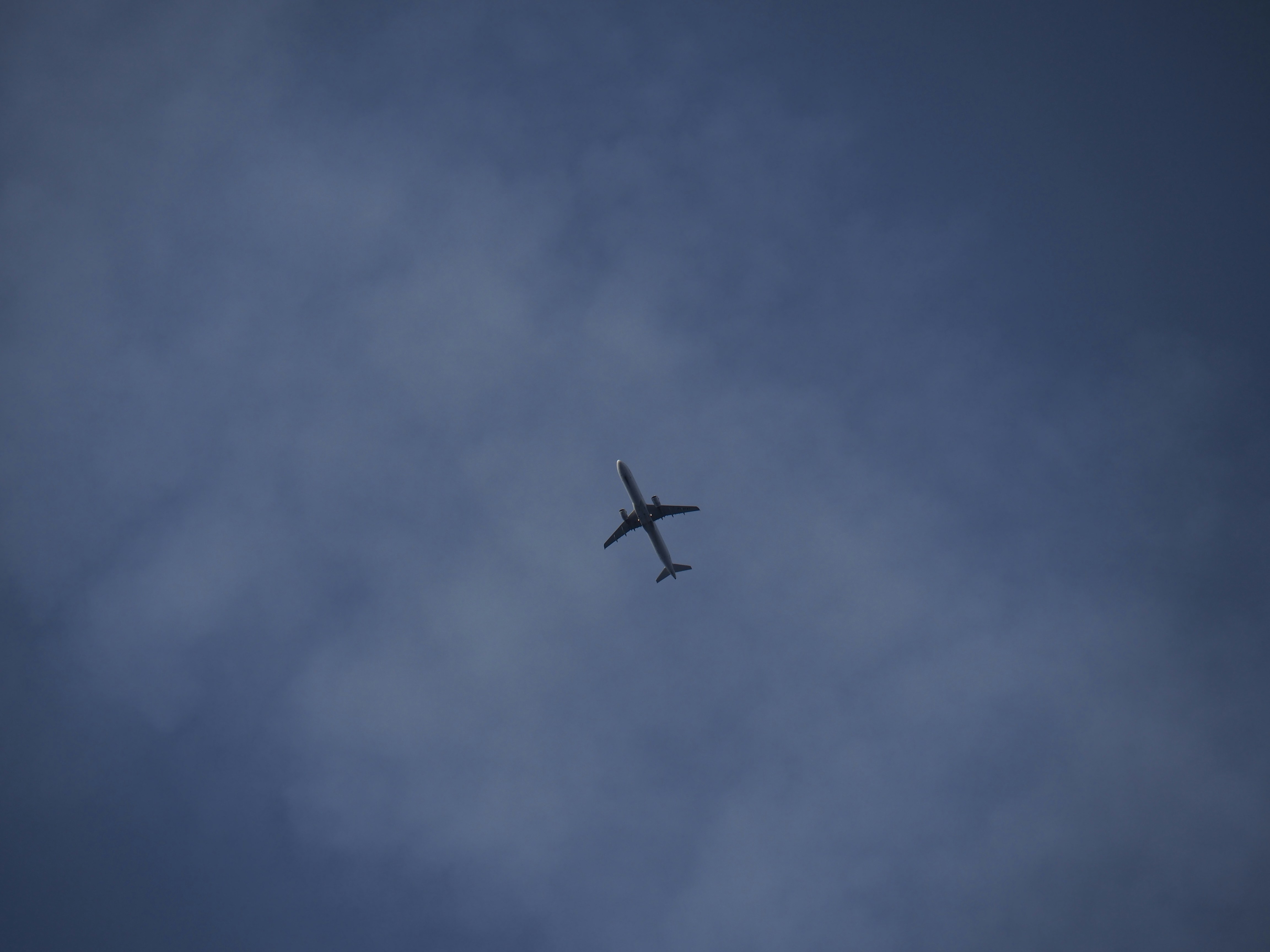 Photo by nimbus_vulpis