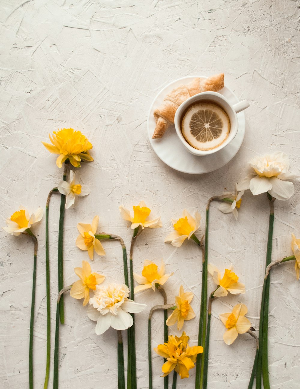 white cup and croissant on white saucer beside yellow and white petaled flower