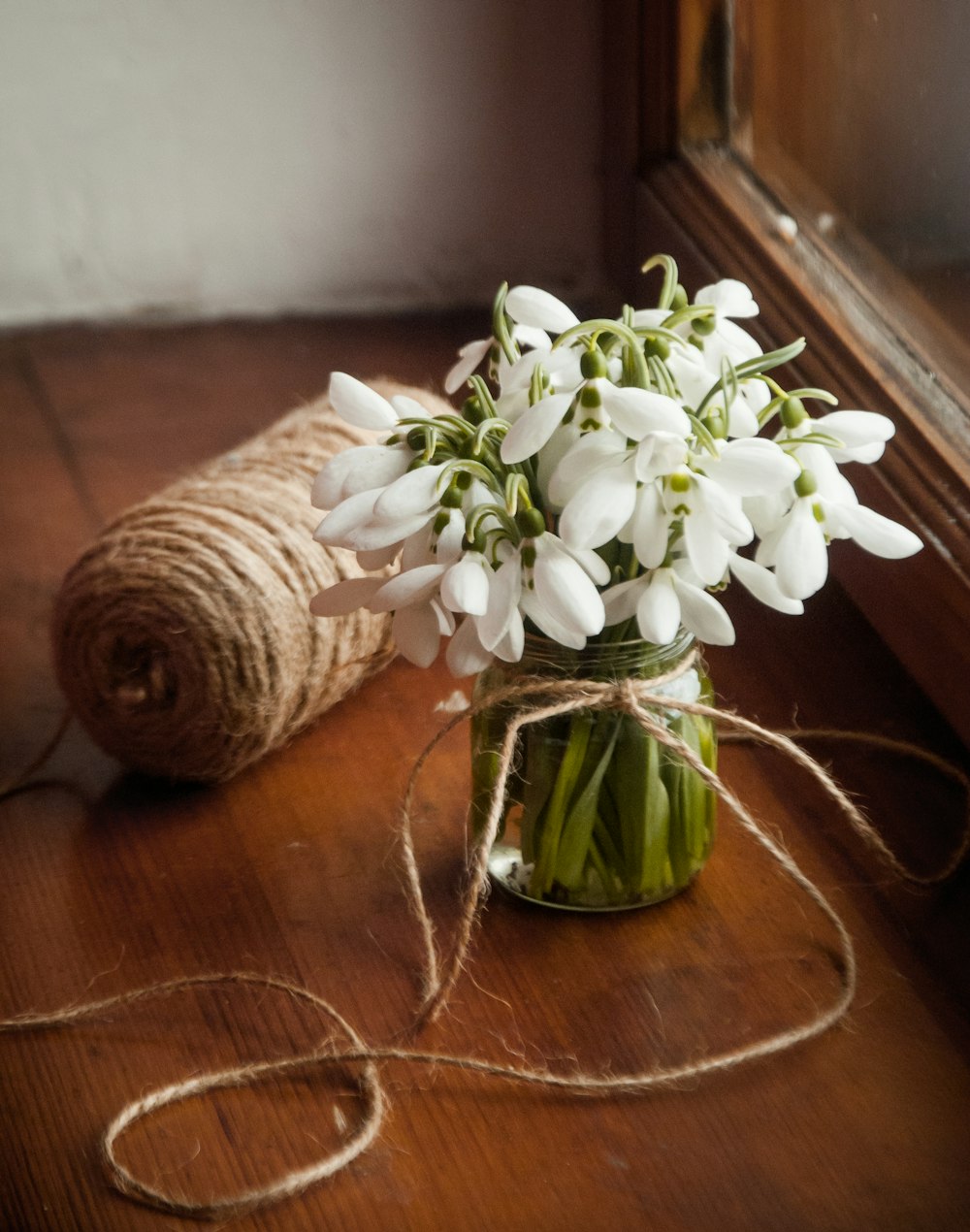 white-petaled flowers