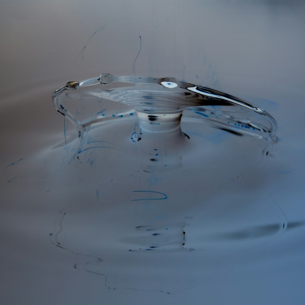 macro photography of water drop formation