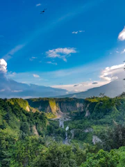 aerial photo of green trees near mountain under cloudy sky