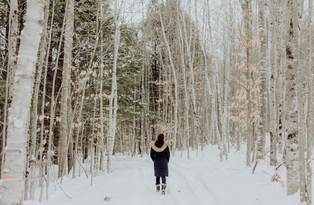 Frau, die tagsüber zwischen Bäumen auf Schnee steht
