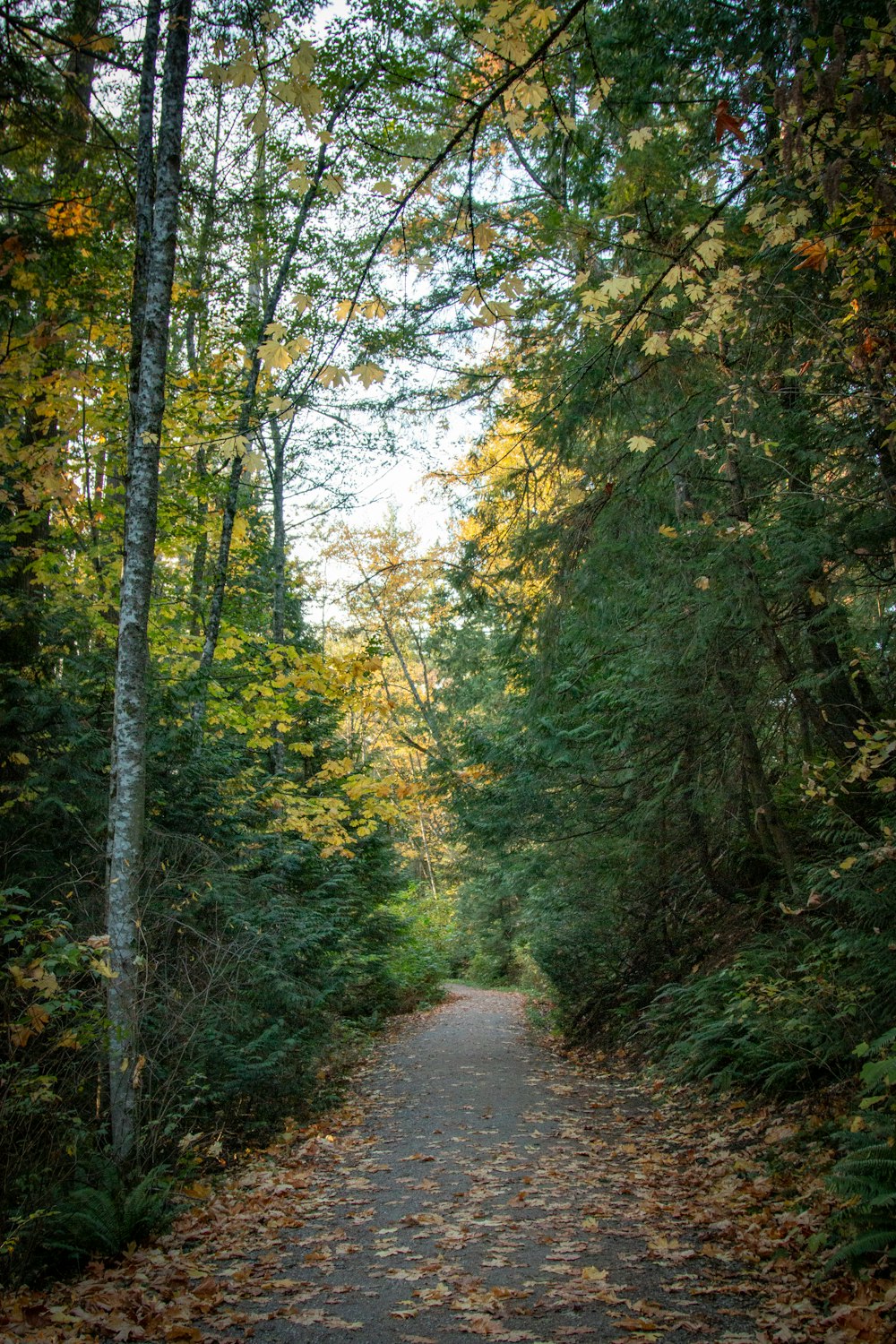 empty road